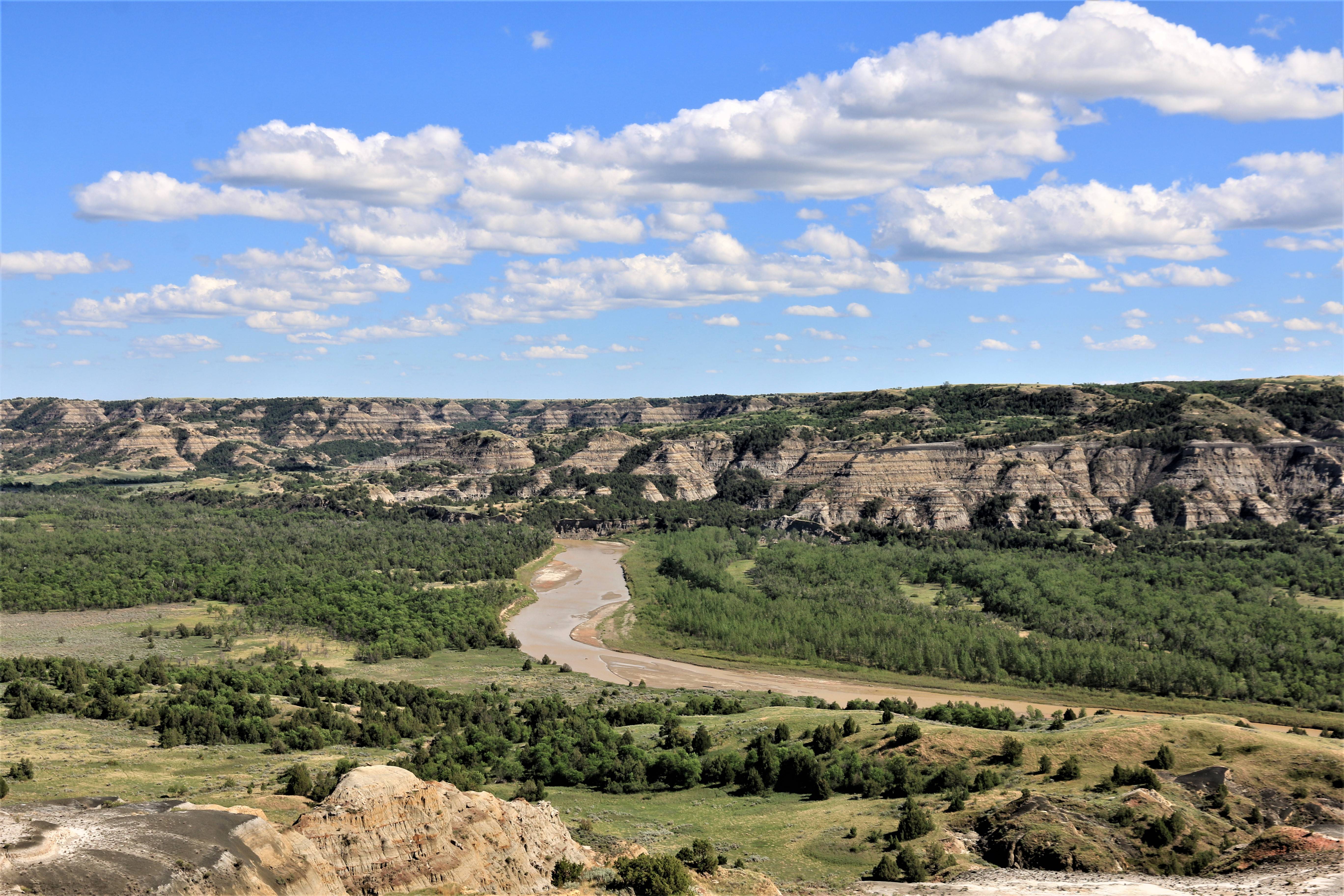 Theodore Roosevelt NP